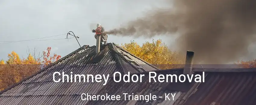 Chimney Odor Removal Cherokee Triangle - KY