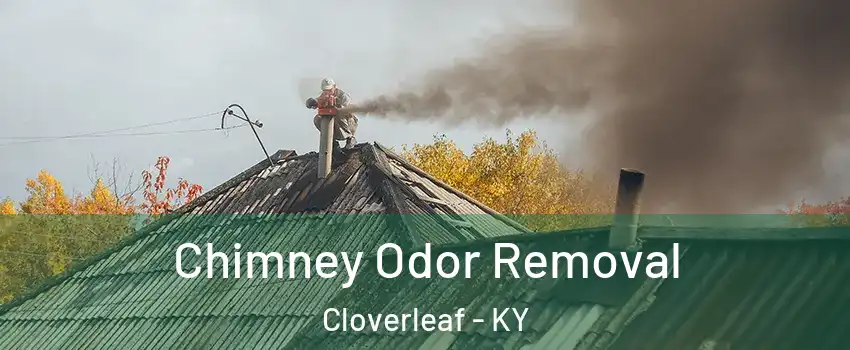 Chimney Odor Removal Cloverleaf - KY