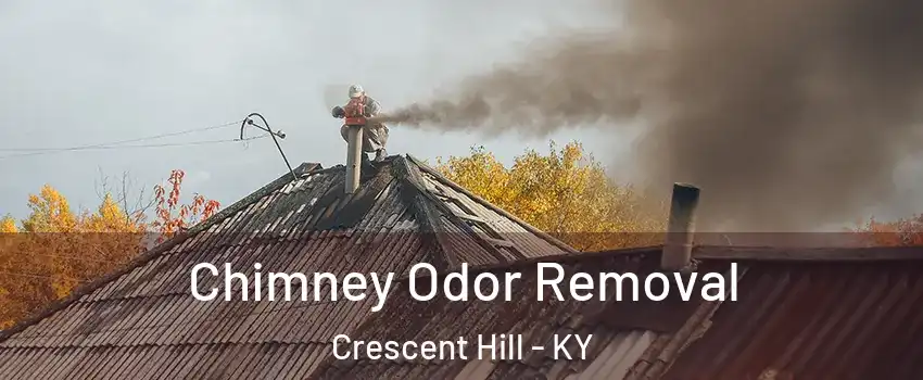 Chimney Odor Removal Crescent Hill - KY