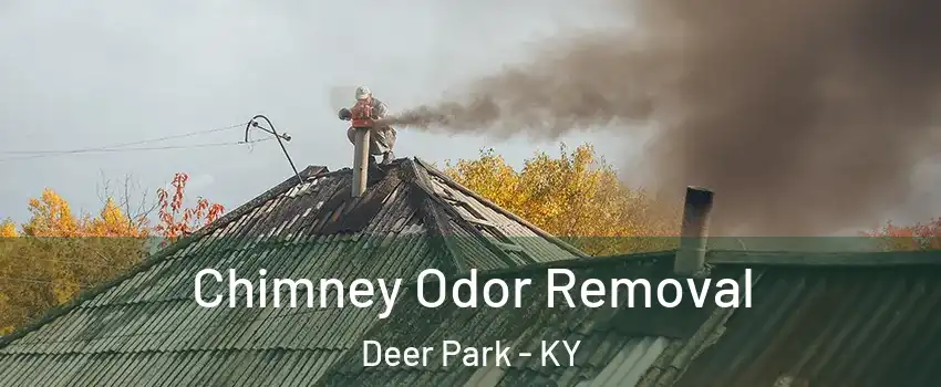 Chimney Odor Removal Deer Park - KY