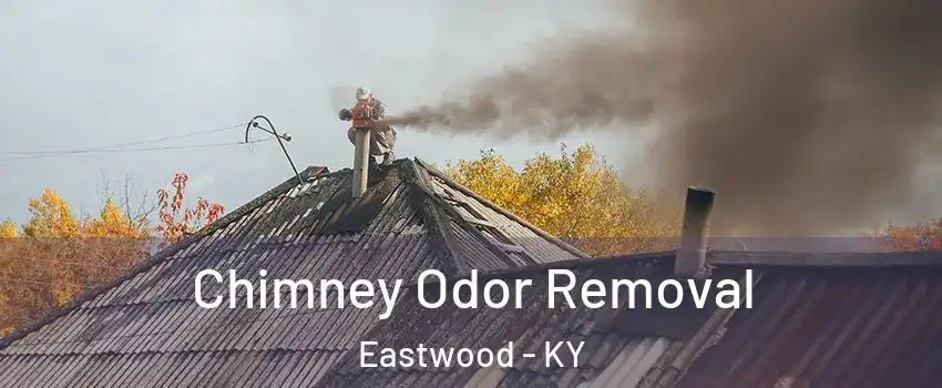 Chimney Odor Removal Eastwood - KY