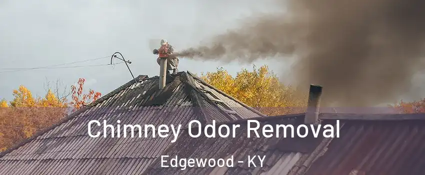 Chimney Odor Removal Edgewood - KY