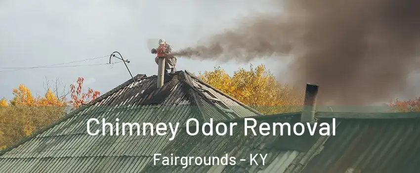 Chimney Odor Removal Fairgrounds - KY