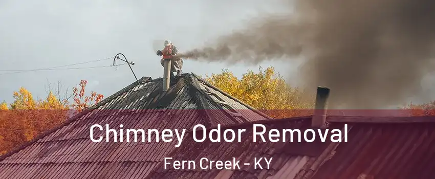 Chimney Odor Removal Fern Creek - KY