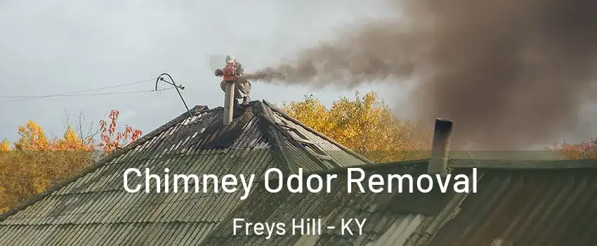 Chimney Odor Removal Freys Hill - KY