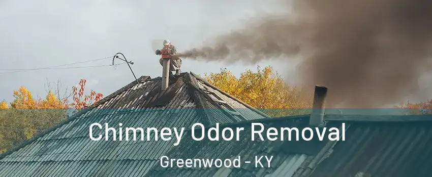 Chimney Odor Removal Greenwood - KY