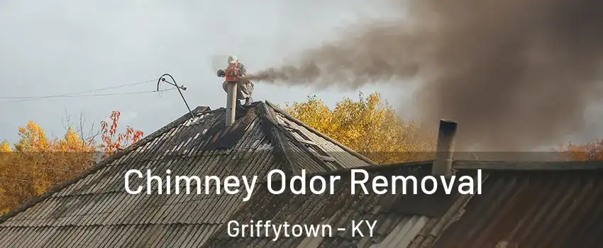 Chimney Odor Removal Griffytown - KY