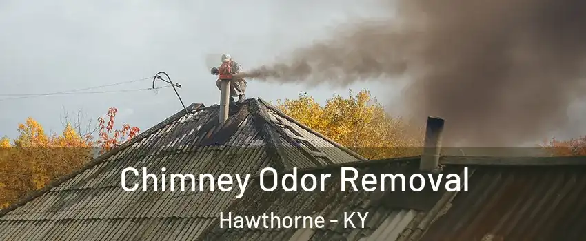 Chimney Odor Removal Hawthorne - KY