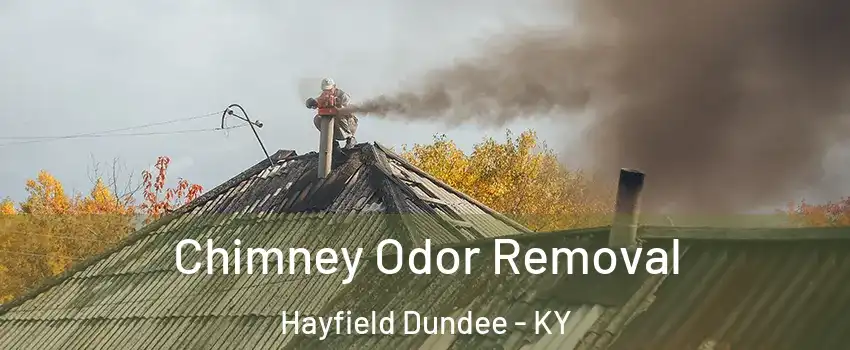 Chimney Odor Removal Hayfield Dundee - KY