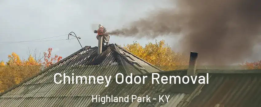 Chimney Odor Removal Highland Park - KY