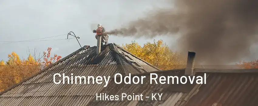 Chimney Odor Removal Hikes Point - KY