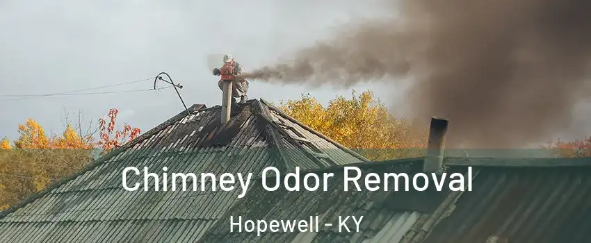 Chimney Odor Removal Hopewell - KY