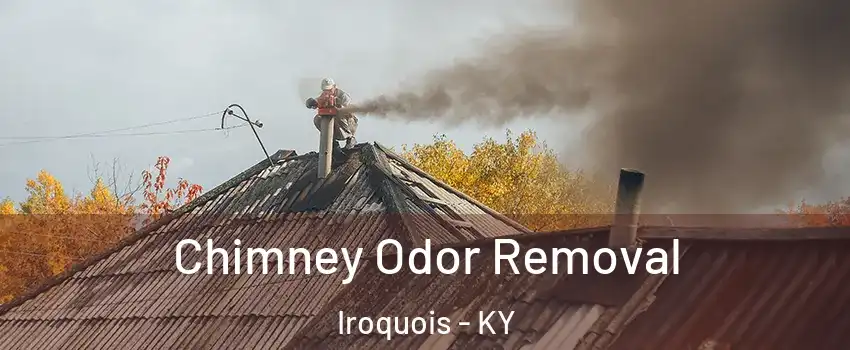 Chimney Odor Removal Iroquois - KY