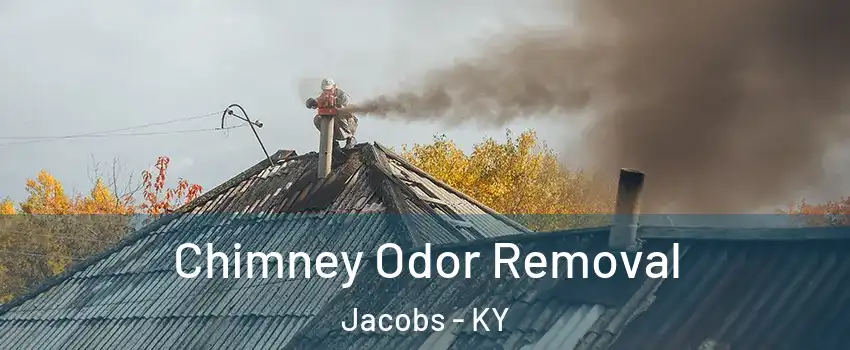 Chimney Odor Removal Jacobs - KY