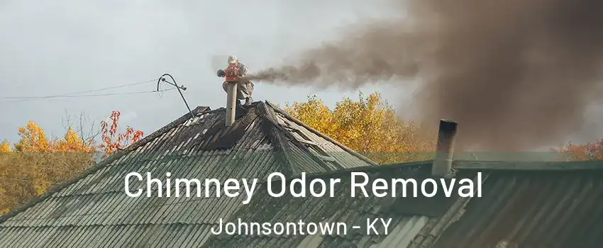 Chimney Odor Removal Johnsontown - KY