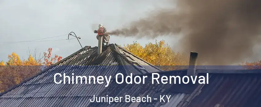 Chimney Odor Removal Juniper Beach - KY