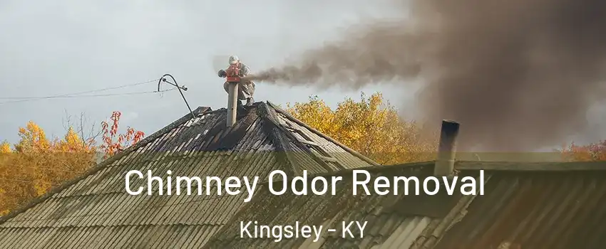 Chimney Odor Removal Kingsley - KY