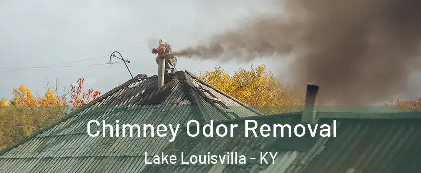 Chimney Odor Removal Lake Louisvilla - KY