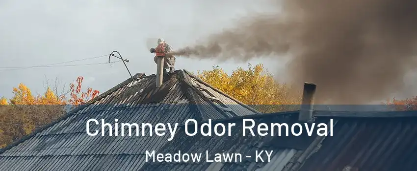 Chimney Odor Removal Meadow Lawn - KY