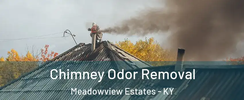 Chimney Odor Removal Meadowview Estates - KY