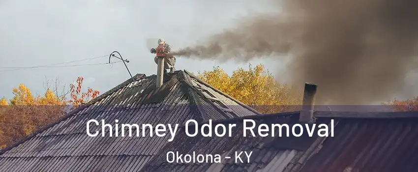 Chimney Odor Removal Okolona - KY