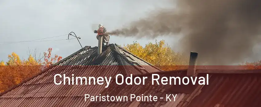 Chimney Odor Removal Paristown Pointe - KY