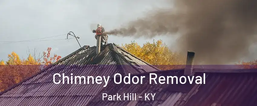 Chimney Odor Removal Park Hill - KY