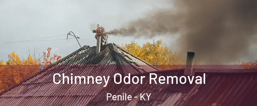 Chimney Odor Removal Penile - KY