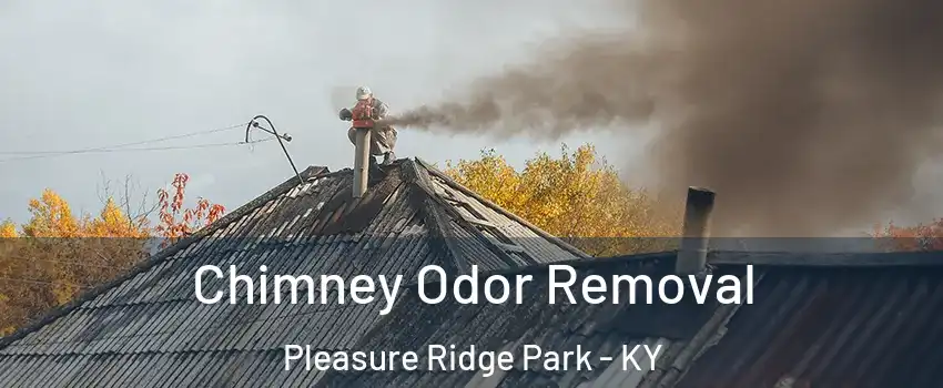 Chimney Odor Removal Pleasure Ridge Park - KY