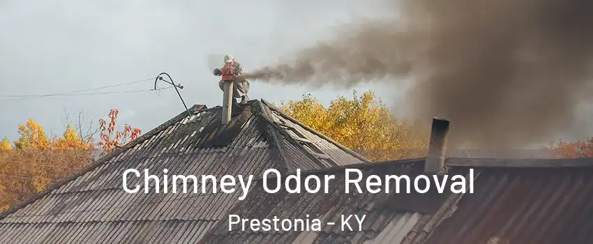 Chimney Odor Removal Prestonia - KY