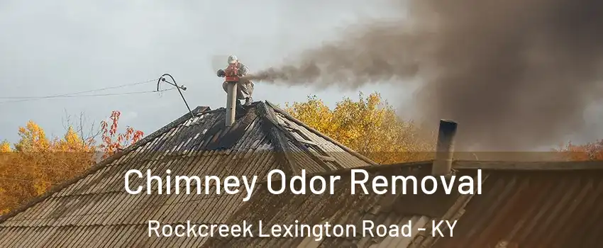 Chimney Odor Removal Rockcreek Lexington Road - KY