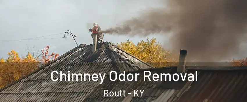 Chimney Odor Removal Routt - KY