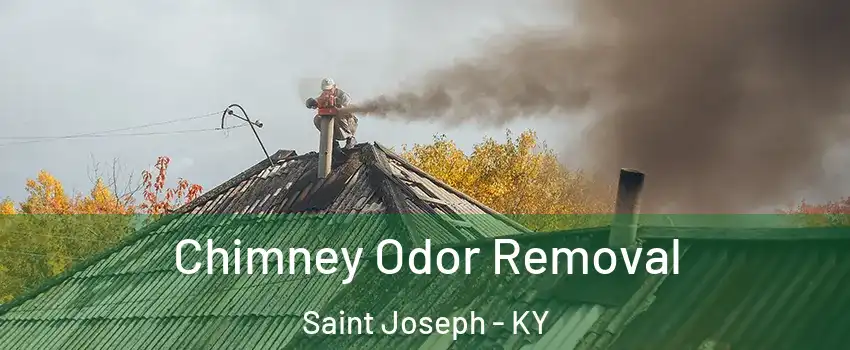 Chimney Odor Removal Saint Joseph - KY