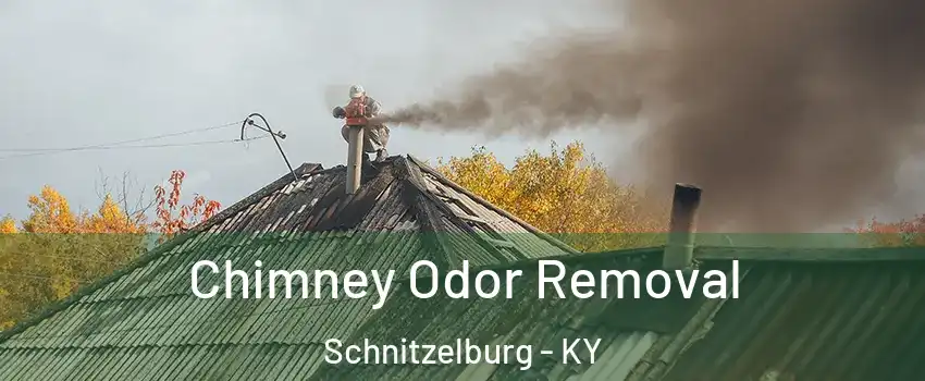 Chimney Odor Removal Schnitzelburg - KY