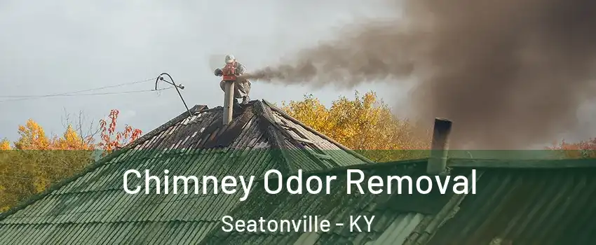 Chimney Odor Removal Seatonville - KY