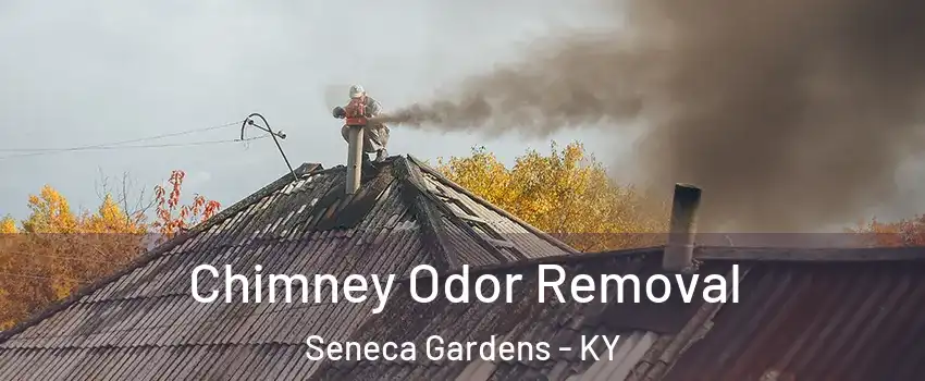 Chimney Odor Removal Seneca Gardens - KY