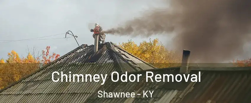 Chimney Odor Removal Shawnee - KY