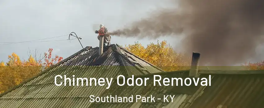 Chimney Odor Removal Southland Park - KY