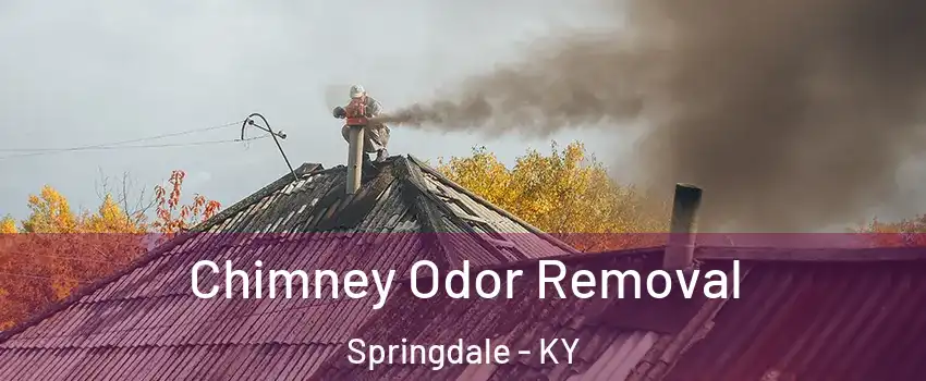 Chimney Odor Removal Springdale - KY