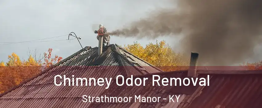 Chimney Odor Removal Strathmoor Manor - KY