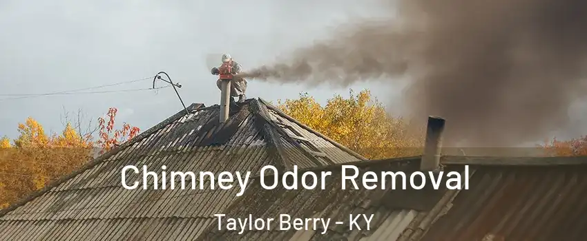 Chimney Odor Removal Taylor Berry - KY