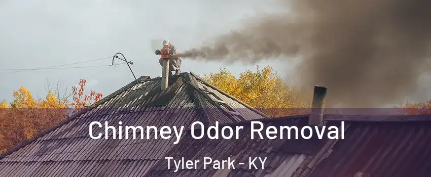 Chimney Odor Removal Tyler Park - KY