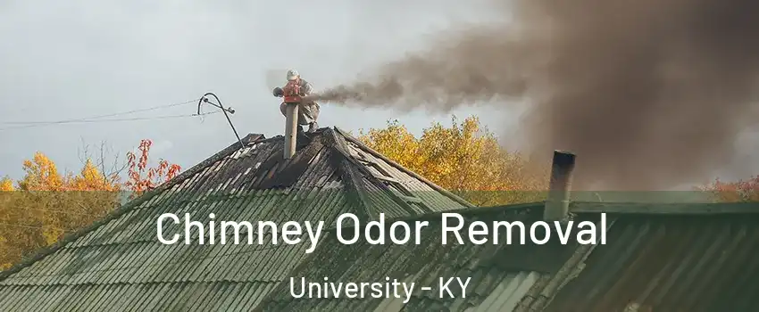 Chimney Odor Removal University - KY