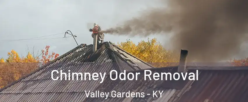 Chimney Odor Removal Valley Gardens - KY