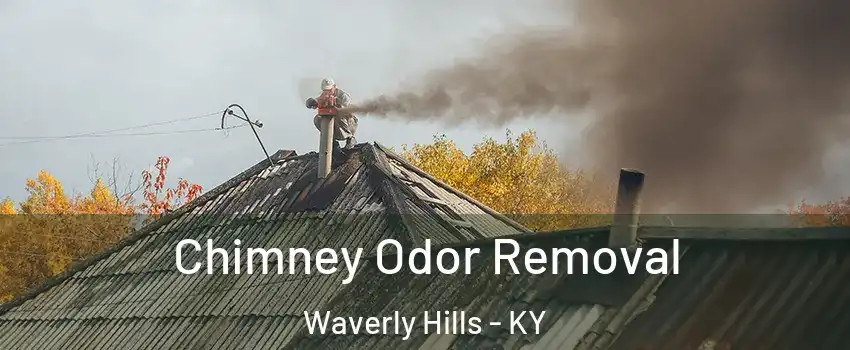 Chimney Odor Removal Waverly Hills - KY