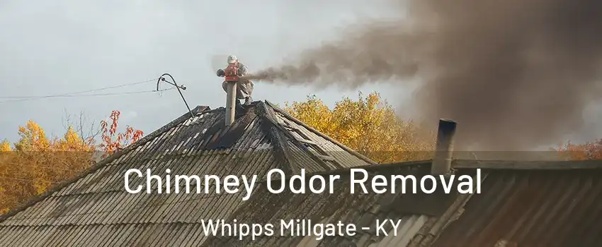 Chimney Odor Removal Whipps Millgate - KY