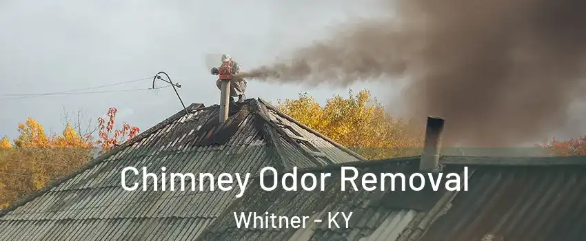 Chimney Odor Removal Whitner - KY