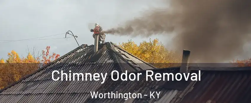 Chimney Odor Removal Worthington - KY