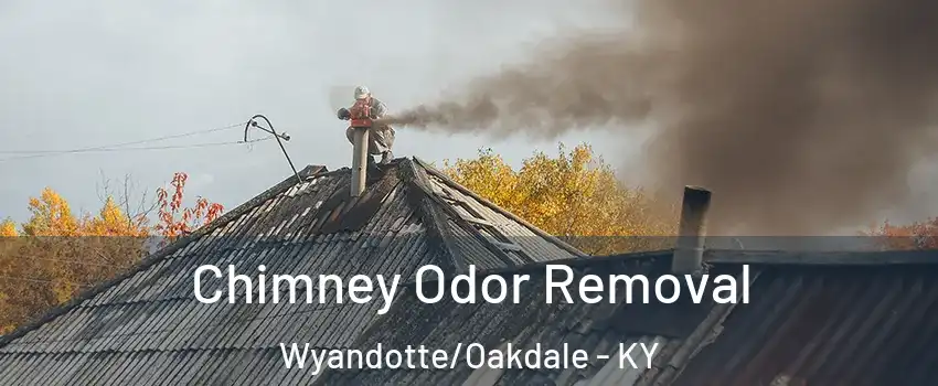 Chimney Odor Removal Wyandotte/Oakdale - KY