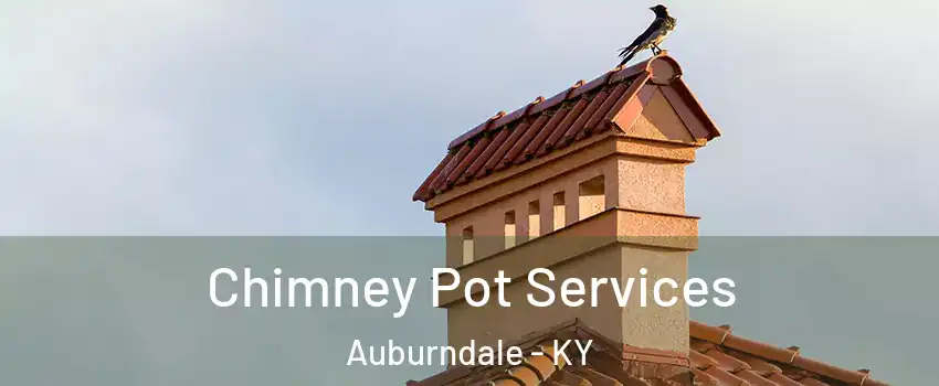 Chimney Pot Services Auburndale - KY